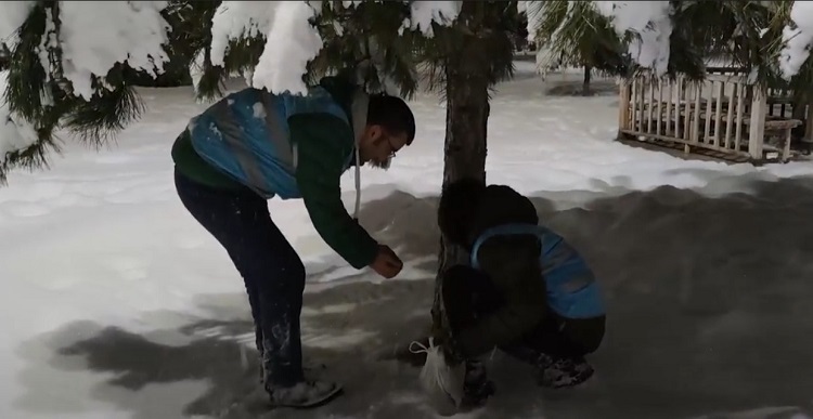 GENÇLER HAYVANLARA YEM BIRAKTI