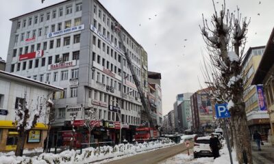 BUZ SARKITLARINA DİKKAT!