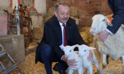 ÜÇÜNCÜ ETAP PROJELERİ BAŞLIYOR
