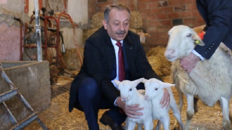 ÜÇÜNCÜ ETAP PROJELERİ BAŞLIYOR