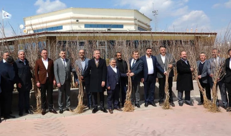 7 BİN 300 ADET KARADUT FİDANI DAĞITILDI