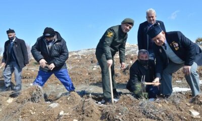ŞEHİT VE GAZİ AİLELERİ FİDAN DİKTİ