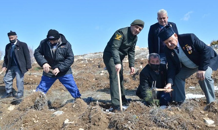 ŞEHİT VE GAZİ AİLELERİ FİDAN DİKTİ