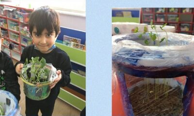 DOĞA İLE EL ELE PROJESİ TAMAMLANDI