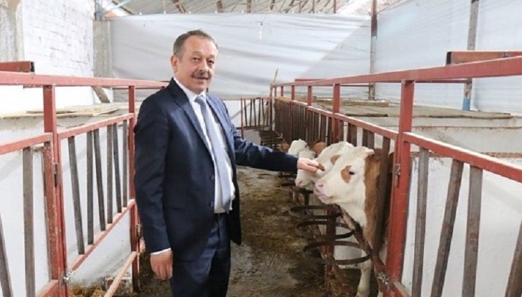 BUZAĞI DESTEĞİNE BAŞVURULAR BAŞLADI