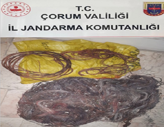 JANDARMA SUÇÜSTÜ YAKALADI!