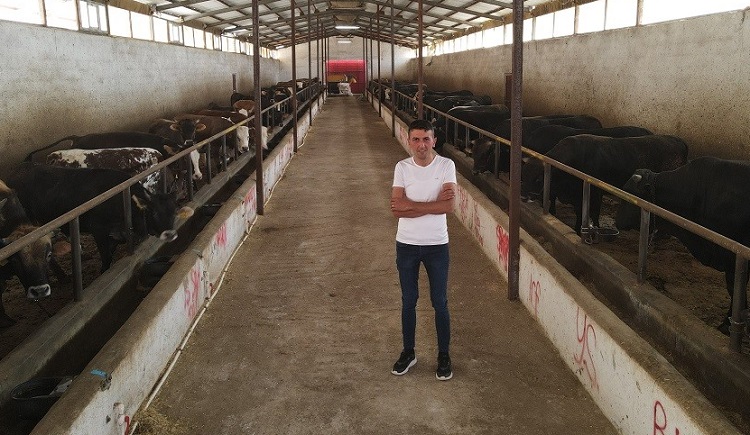 ÇATIDA ELEKTRİK İÇERİDE BESİ YAPIYOR