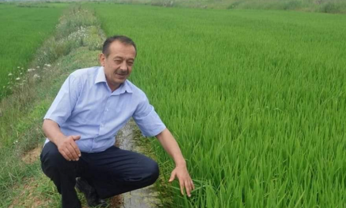ÜRETİCİLERE ÇELTİK YANIĞI UYARISI