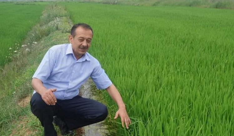 ÜRETİCİLERE ÇELTİK YANIĞI UYARISI