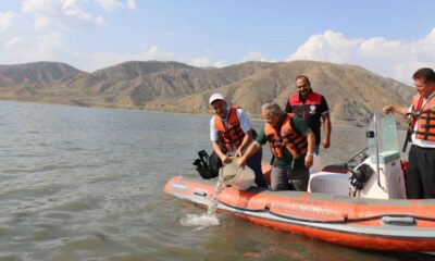 900 BİN BALIK SULARA BIRAKILDI