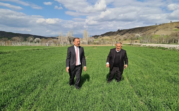 SARI: TOHUM BİZDEN ÜRETİM SİZDEN