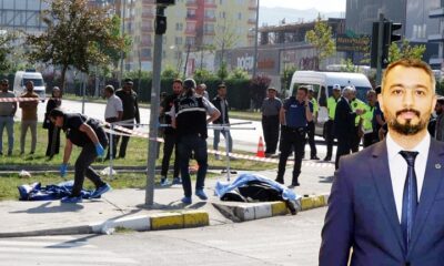 BU KADAR CANIN VEBALİNİ KİM ÖDEYECEK