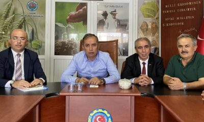 AYÇİÇEĞİNDE FİYAT TATMİN EDİCİ OLACAK