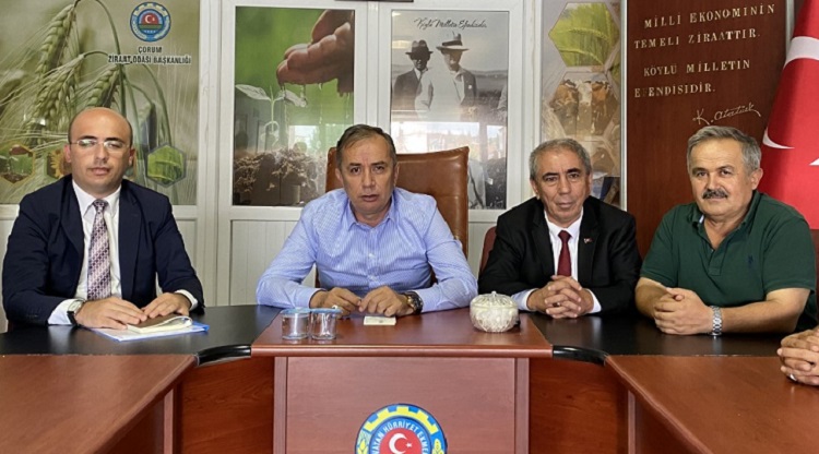 AYÇİÇEĞİNDE FİYAT TATMİN EDİCİ OLACAK
