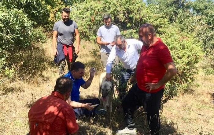 ORTAKÖY’DE DOĞA YÜRÜYÜŞÜ