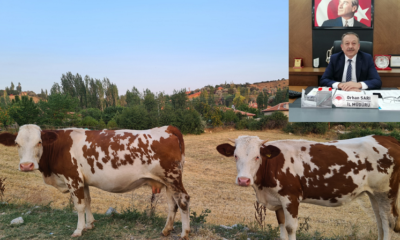 ÇORUM’U HAYVANCILIKTA MERKEZ YAPMAK İSTİYORUZ