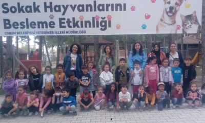 EVCİL HAYVAN PARKINA YOĞUN İLGİ