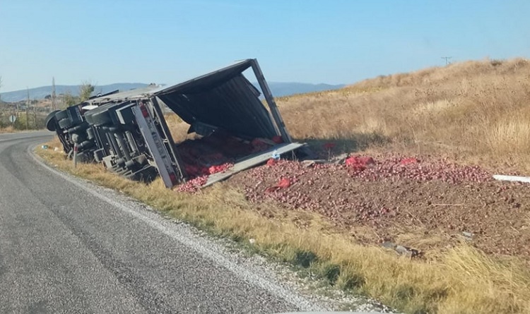 SOĞAN YÜKLÜ TIR DEVRİLDİ