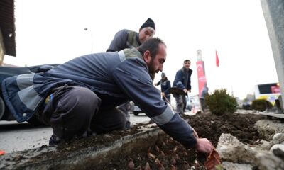 SÜMBÜL VE MENEKŞELER TOPRAKLA BULUŞUYOR