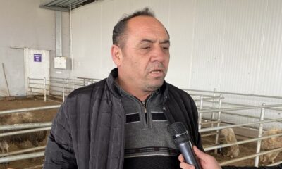 DEPREMZEDELERE HAYVAN BAĞIŞI YAPTILAR