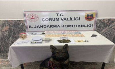 JANDARMA’DAN UYUŞTURUCU OPERASYONU
