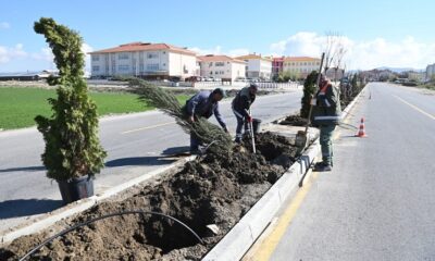 BELEDİYE YEŞİL BİR ÇORUM İÇİN ÇALIŞIYOR