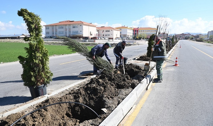 BELEDİYE YEŞİL BİR ÇORUM İÇİN ÇALIŞIYOR