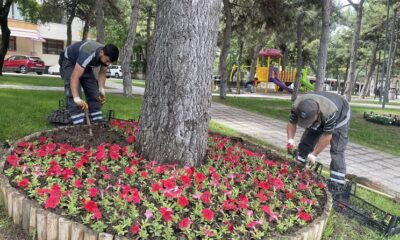 ÇORUM LALE VE SÜMBÜLLERLE DONATILDI