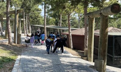 HAYVANAT BAHÇESİNE YOĞUN İLGİ