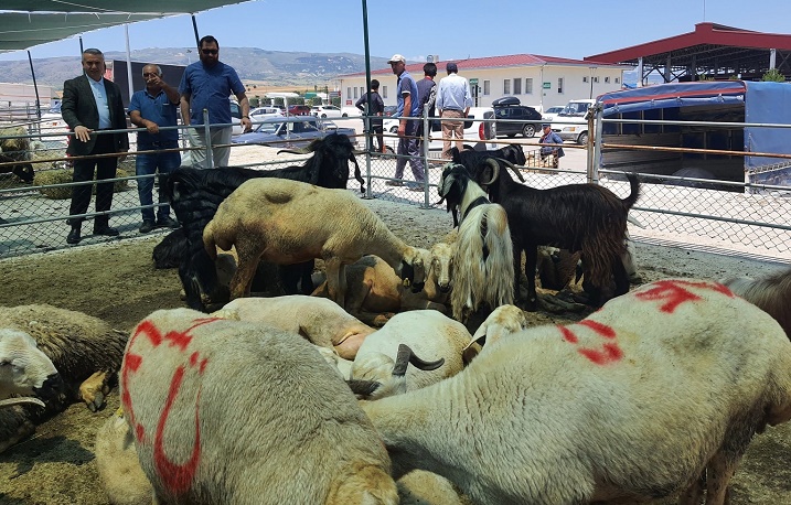 HALK ET KURBAN BAYRAMINA HAZIR
