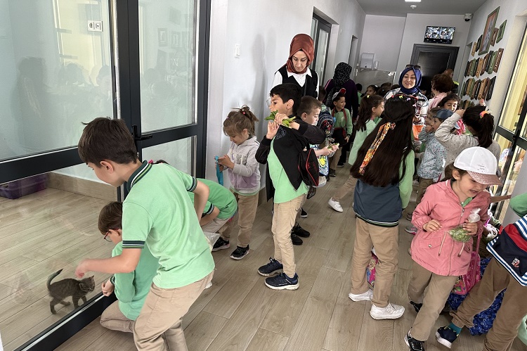 HAYVANAT BAHÇESİNE YOĞUN İLGİ