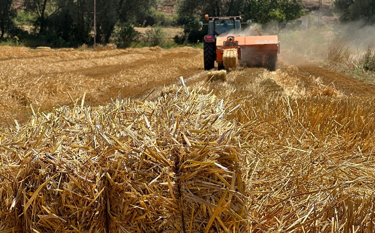 20 TON BUĞDAY ELDE EDİLDİ