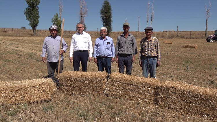 BELEDİYE’DEN HAYVANCILIĞA DESTEK