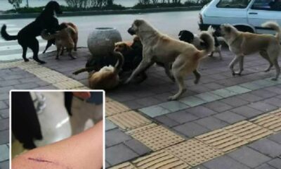 ÜNİVERSİTELİ GENÇ HASTANELİK OLDU!