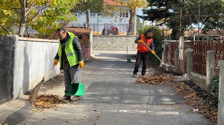 TAM SAHA TEMİZLİK ÇALIŞMASI