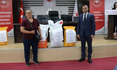 AYÇİÇEK VE NOHUT TOHUMU DAĞITILDI