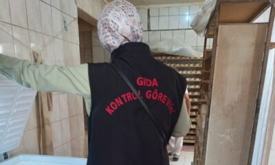 GIDA DENETİMLERİ DEVAM EDİYOR