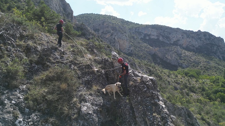 MAHSUR KALAN KÖPEK KURTARILDI