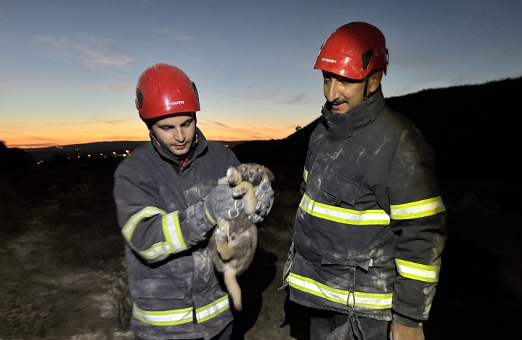 YAVRU KÖPEKLERİ İTFAİYE KURTARDI