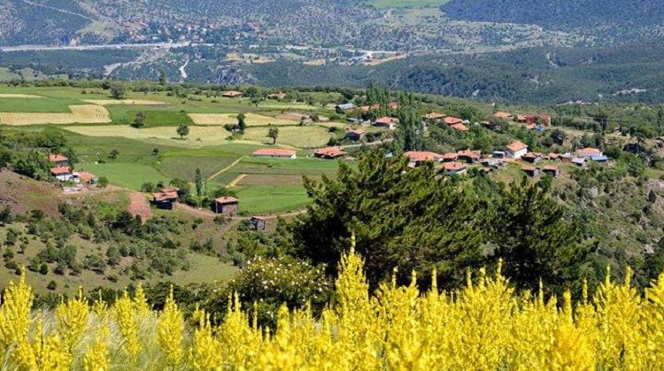 AYININ SALDIRISINA UĞRADI!