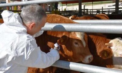 ÇORUM’DA O KÖYLERDE KARANTİNA!