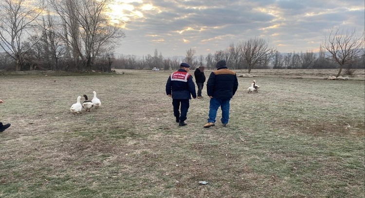 ÇORUM’DA KAZ DÖVÜŞÜNE CEZA